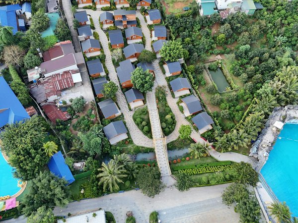 Naturopathe spécialiste : vaincre la candidose ensemble